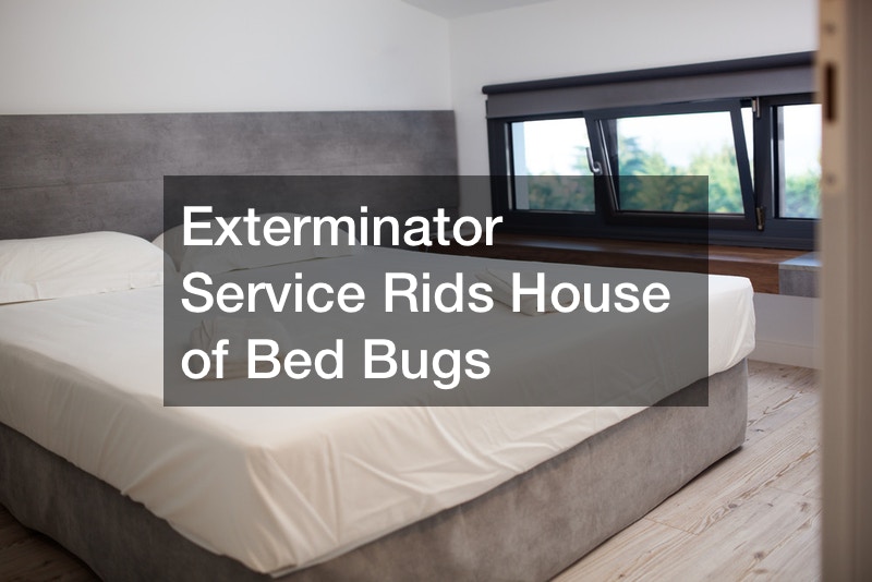 Exterminator Service Rids House of Bed Bugs