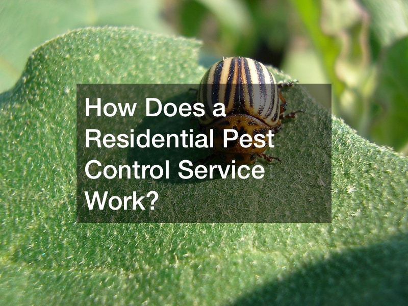 How Does a Residential Pest Control Service Work?