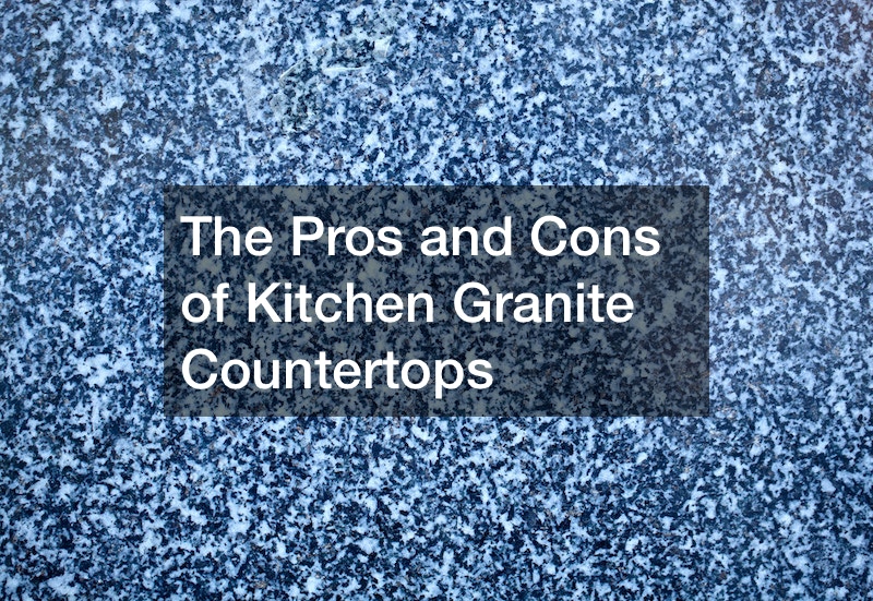 The Pros and Cons of Kitchen Granite Countertops
