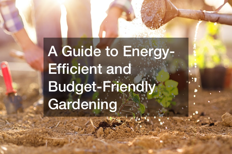 A Guide to Energy-Efficient and Budget-Friendly Gardening