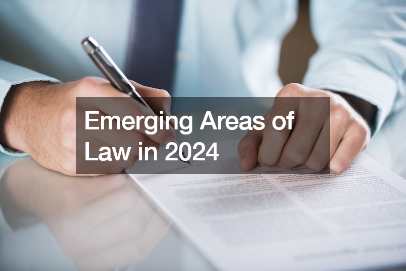 Emerging Areas of Law in 2024